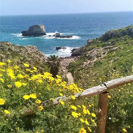Appartement Casa Panco